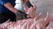 صادرات گوشت مرغ ایران به خاورمیانه!
