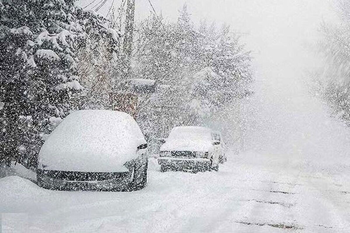 بارش نیم متری برف در شمال تهران + فیلم