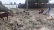 سیل سیستان ۴۰۰ روستا را زیر آب بُرد! + فیلم