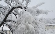 هشدار کولاک برف در ۸ استان
