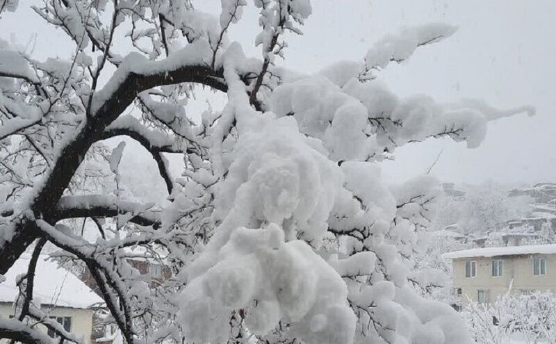 بارش برف استان اردبیل + فیلم