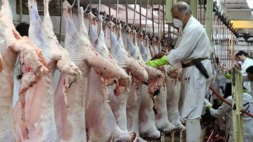 تصمیم جدید دولت برای تنظیم بازار گوشت قرمز