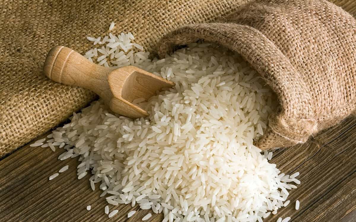 آمادگی دولت برای خرید برنج شالیکاران مازندرانی