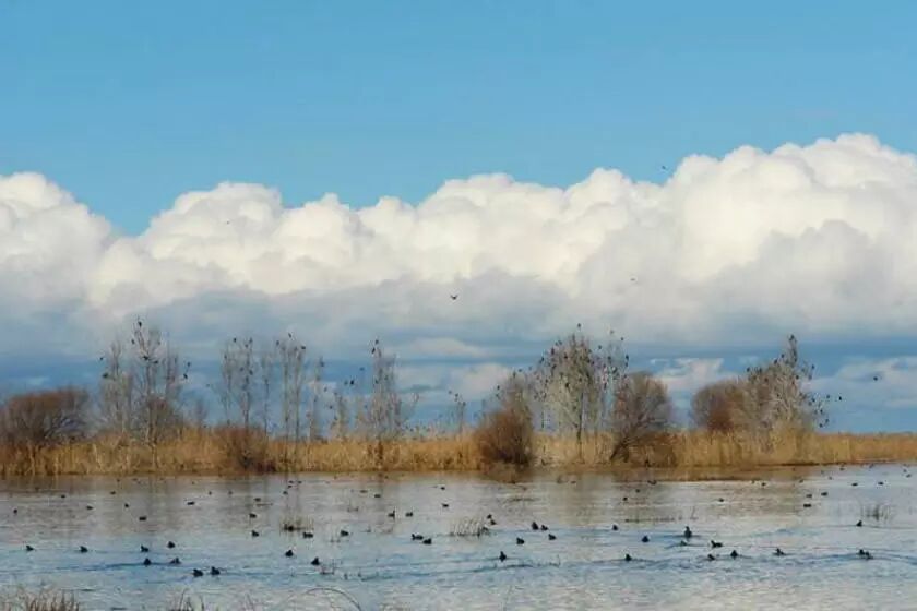 تالاب ناور کجاست؟