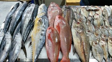 فروش ماهی ۵۱ میلیون تومانی در بازار شمال!