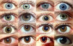 آیا رنگ چشم بر توانایی خواندن تأثیر دارد؟