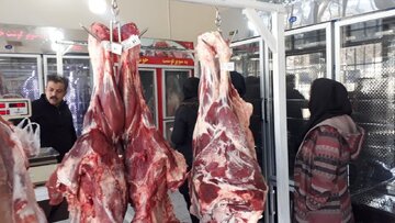 خبر مهم از آینده قیمت گوشت در ایران