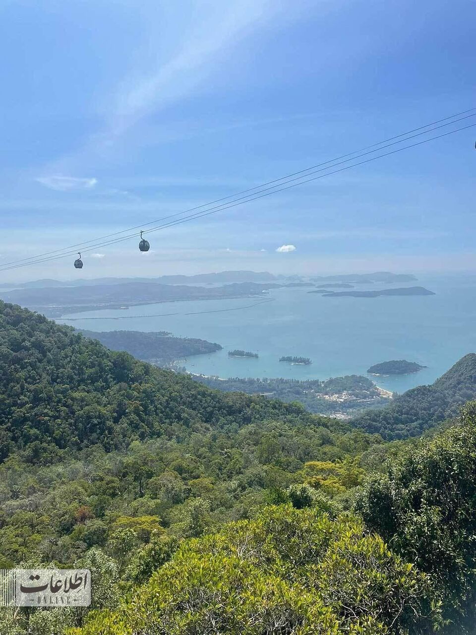 متفاوتترین پل عابر جهان بر فراز جنگل بارانی! + عکس