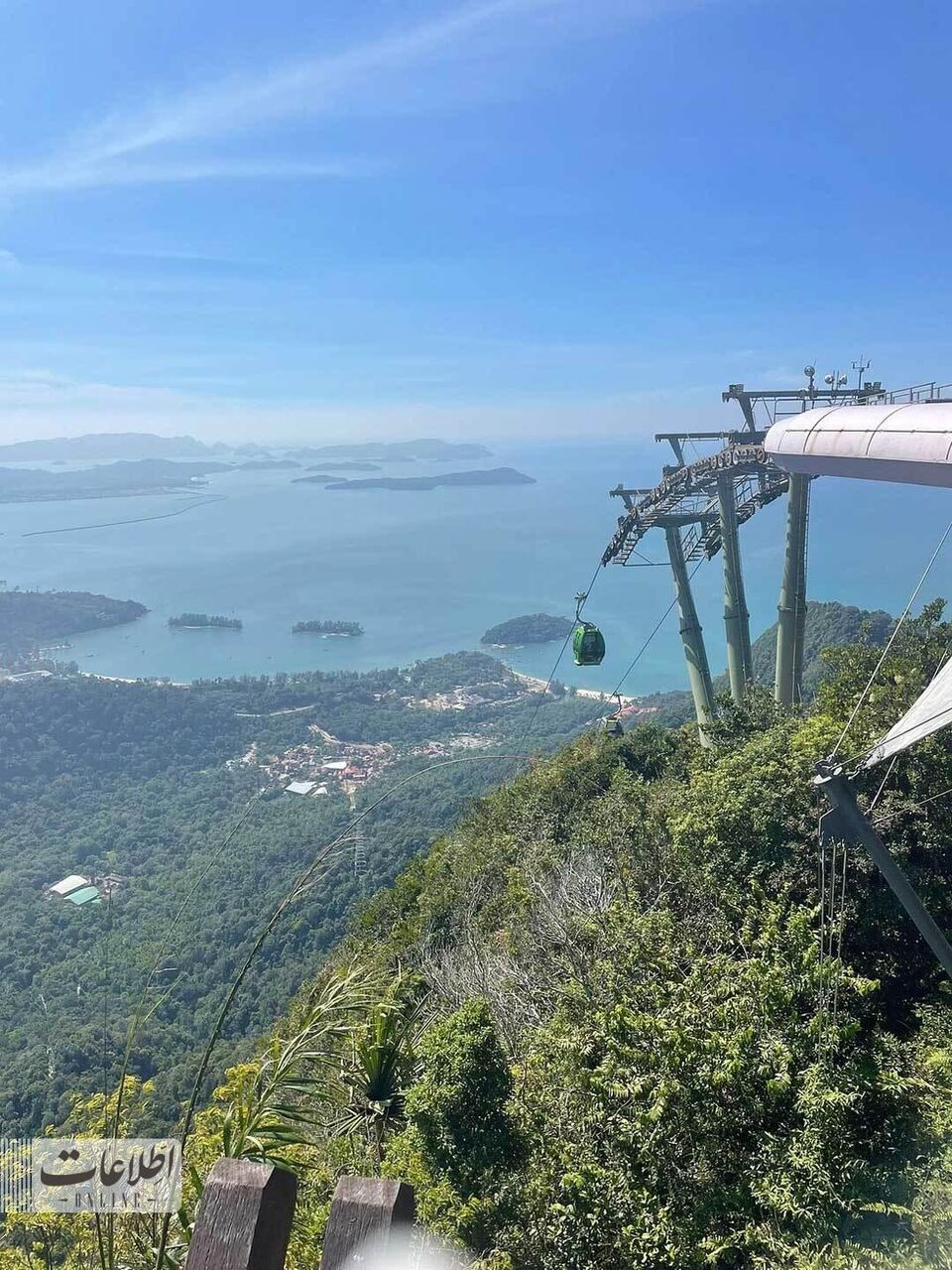 متفاوتترین پل عابر جهان بر فراز جنگل بارانی! + عکس