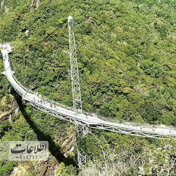 متفاوت‌ترین پل عابر جهان بر فراز جنگل بارانی! + عکس