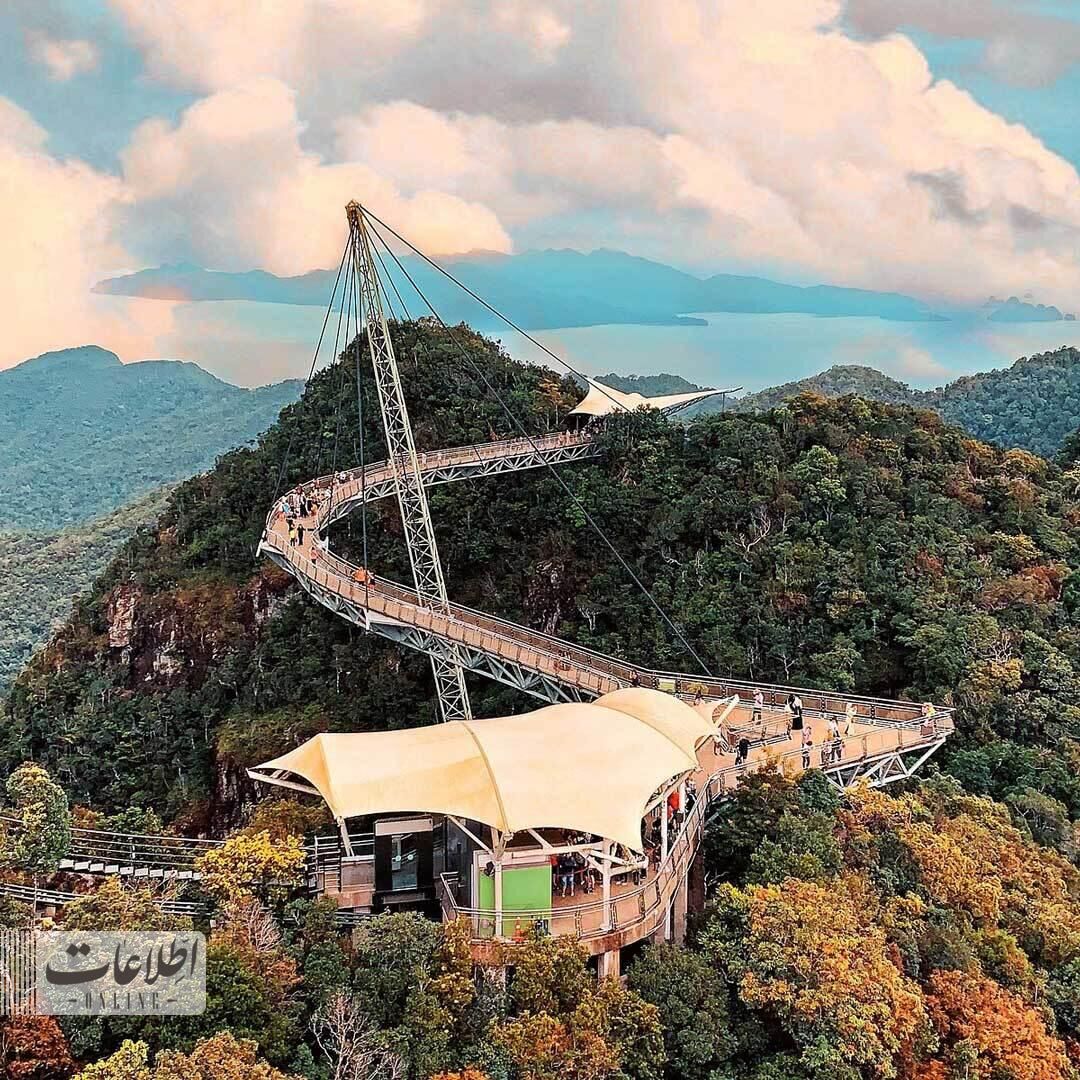 متفاوتترین پل عابر جهان بر فراز جنگل بارانی! + عکس