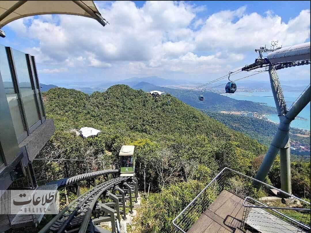 متفاوتترین پل عابر جهان بر فراز جنگل بارانی! + عکس