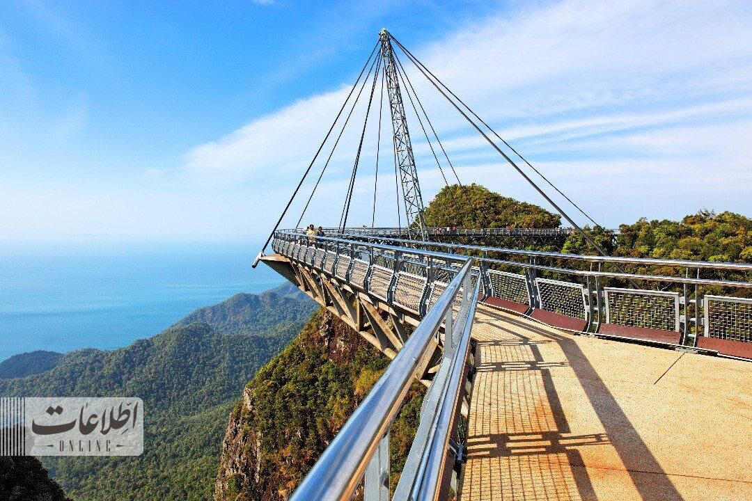 متفاوتترین پل عابر جهان بر فراز جنگل بارانی! + عکس