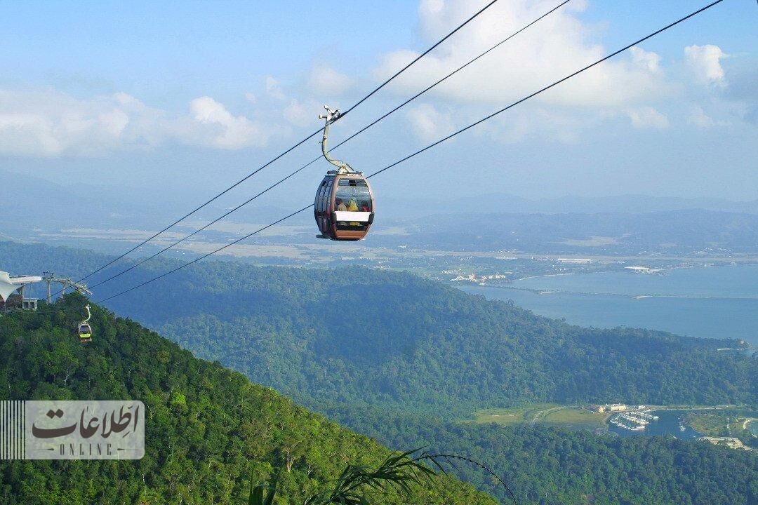 متفاوتترین پل عابر جهان بر فراز جنگل بارانی! + عکس