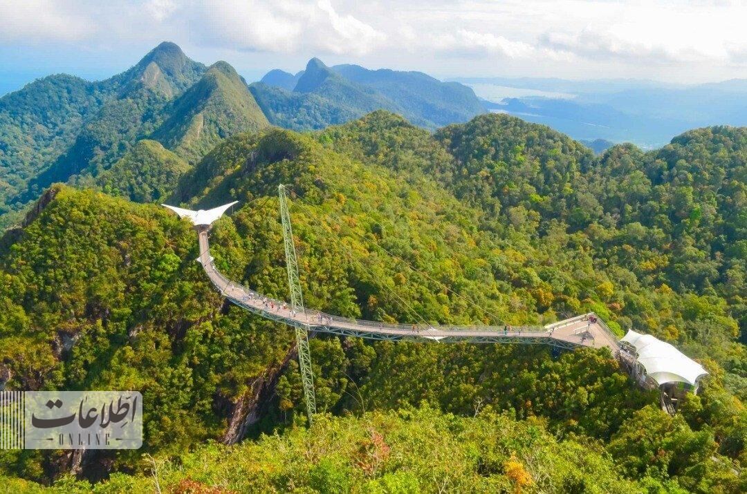 متفاوت‌ترین پل عابر جهان بر فراز جنگل بارانی! + عکس