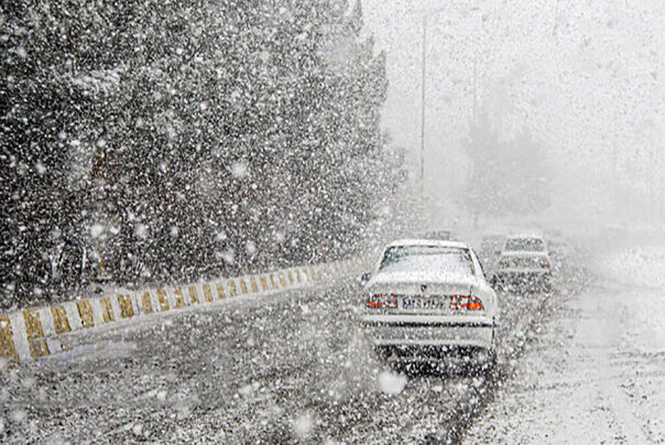 هم اکنون بارش ۳۰ سانتی‌متری برف در مرز تمرچین شهرستان پیرانشهر! + فیلم