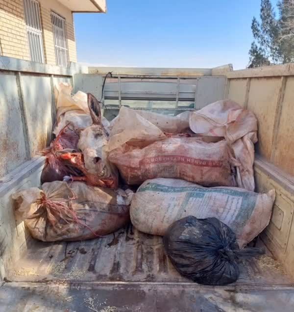 کشف گوشت خر در جاده نیشابور به مشهد قدیمی است! + عکس