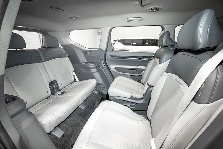 این شاسی بلند کره ای برترین خودروی سال ۲۰۲۴ شد + عکس