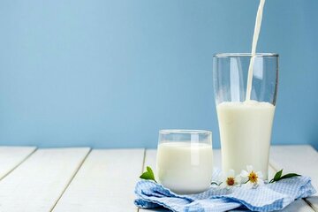 پاسخ به یک سوال مهم؛ نوشیدن شیر گرم مفیدتر است یا سرد؟