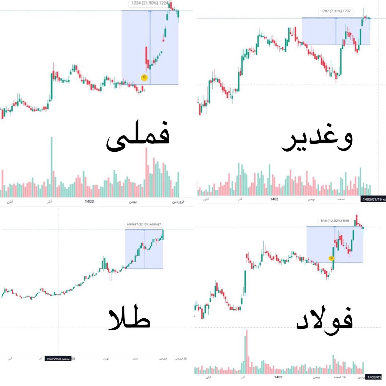 تحلیلی برای یک خرید مطمئن بورسی در سال ۱۴۰۳/ کدام نمادها سبد سهامداران را بیمه میکنند؟