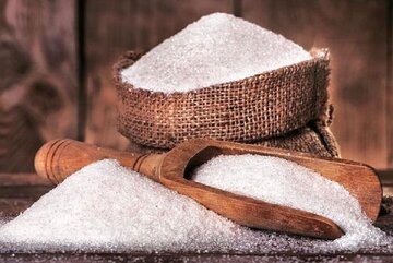 خبر وزیر کشاورزی درباره شکر؛ متقاضیان ثبت نام کنند