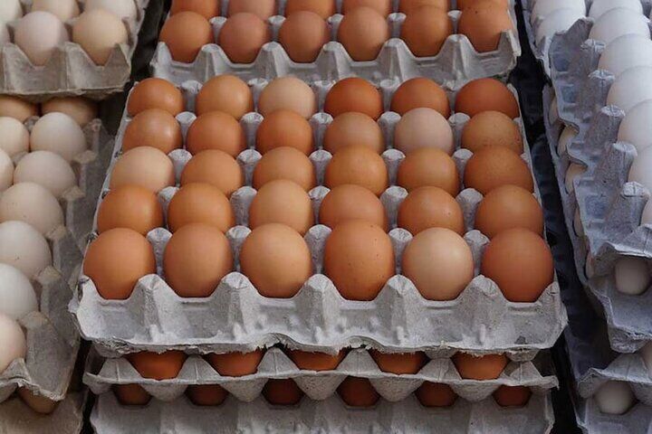 تخم مرغ پوسته قهوه‌ای ۵۰ هزار تومان شد