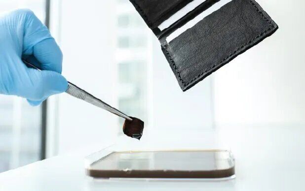 باکتری که ظرف ۱۴ روز به کفش تبدیل میشود!