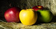 چرا سیب بهترین میوه برای حفظ سلامتی است؟