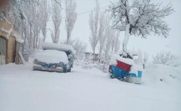 بارش شدید برف بهاری در گیلان + فیلم