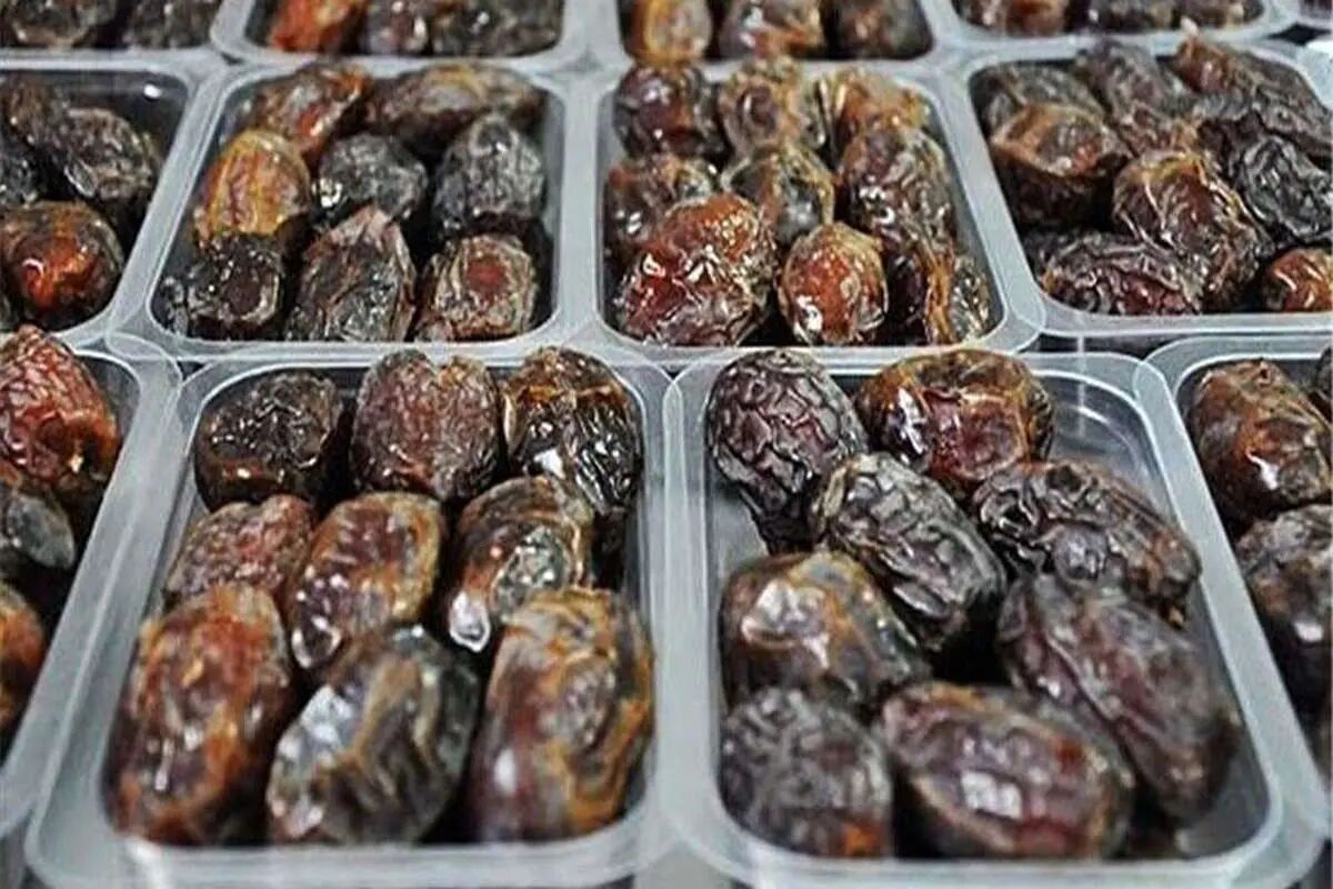Iran’s Fresh Date Exports Up 7% in Volume
