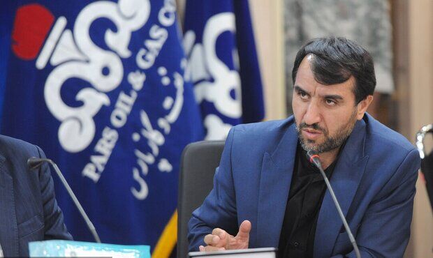 12 Petrochem Projects to Go on Stream in Iran in Months: NPC Chief