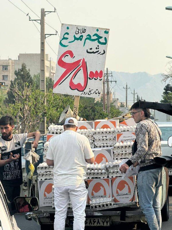افت شدید قیمت تخم مرغ