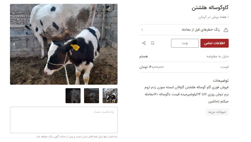 سیستم جدید فروش خودرو در ۱۴۰۳ / مبادله گوساله با ماشین!