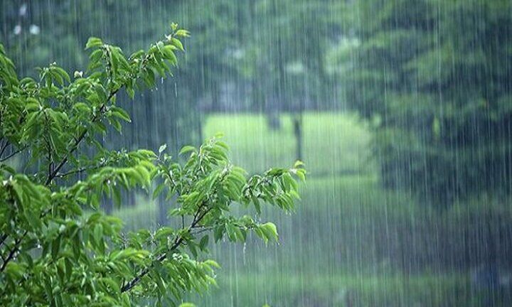 آغاز بارش شدید باران در کرمانشاه + فیلم