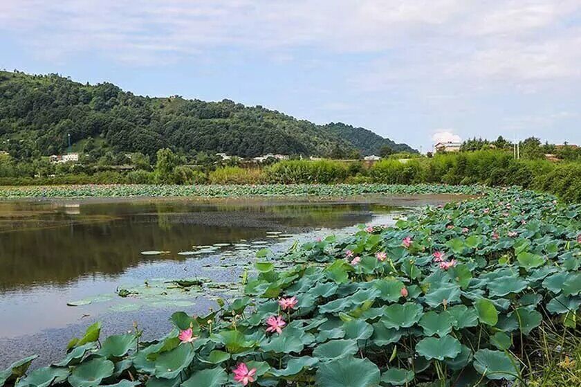 جاذبههای گردشگری عروس گیلان