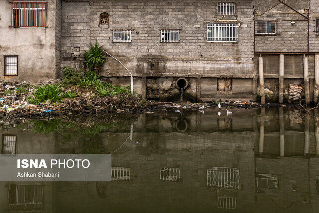 زخم کهنه تالاب انزلی بهبود مییابد؟