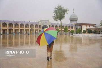 شیراز را آب برد! + عکس
