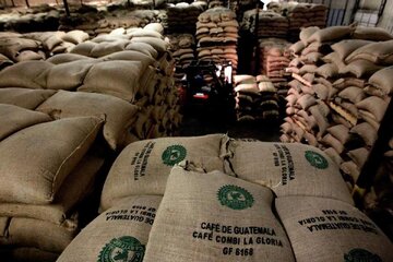 Iran Imports $148 Million of Coffee in One Year: IRICA