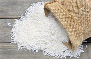 ایران چه میزان برنج از هند وارد کرد؟