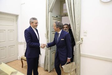 دیدار رافائل گروسی با علی باقری