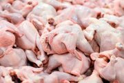 نرخ روز انواع گوشت مرغ درب کشتارگاه
