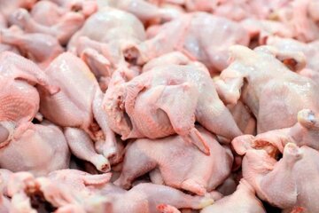 قیمت مرغ امروز ۳۰  اردیبهشت ۱۴۰۳ در بازار