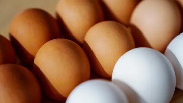 قیمت تخم مرغ محلی ۱۱۴ هزار تومان شد! + جدول