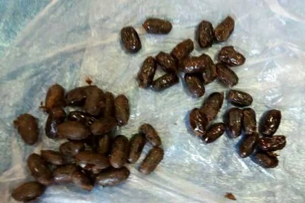 تریاکفروشی در پوشش خرما!