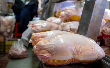 قیمت مرغ امروز ۵ خرداد ۱۴۰۳ در بازار