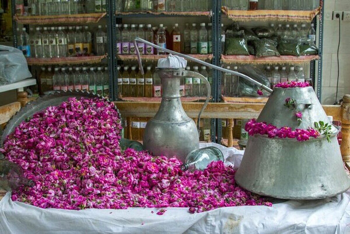 Iran Is World’s Top Exporter of Damask Rose, Rosewater