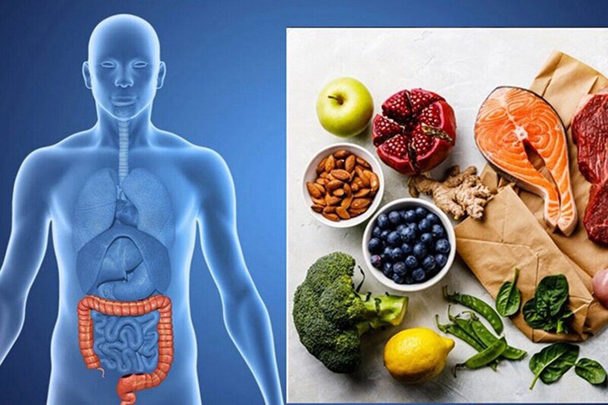 این مواد غذایی به میکروب معده حمله میکنند