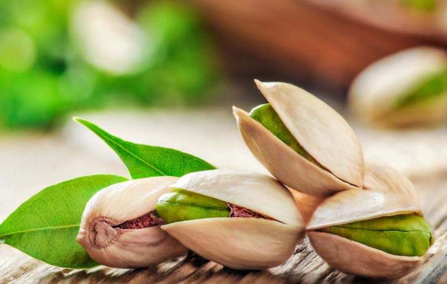 بهترین مغز ها برای کم کاری تیروئید