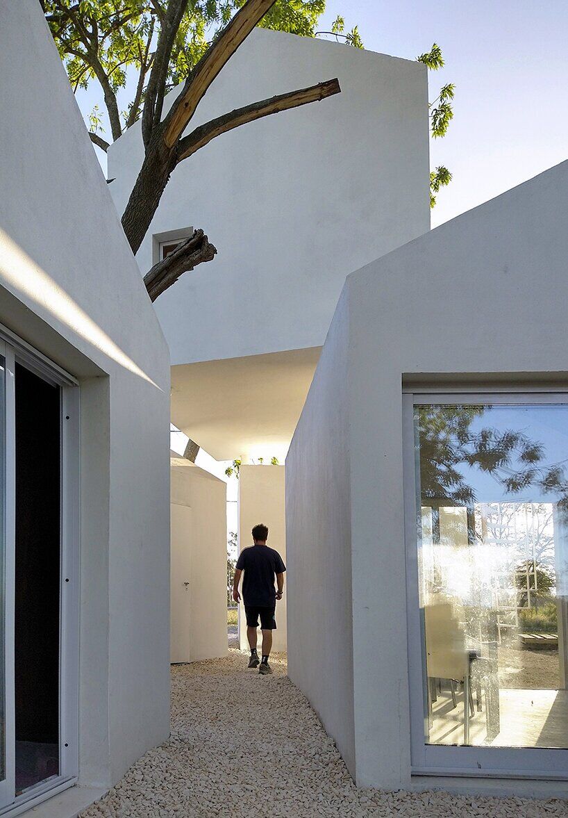 این خانه رویکردی جدید برای زندگی در فضای بسیار کوچک ارائه می کند