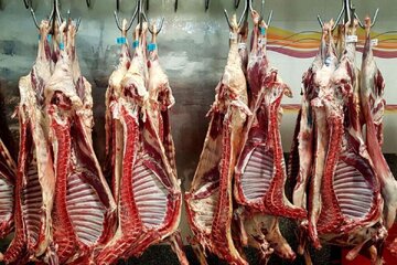 قیمت گوشت گوسفندی و گوساله تنظیم بازاری چند؟ + جدول خرداد ۱۴۰۳